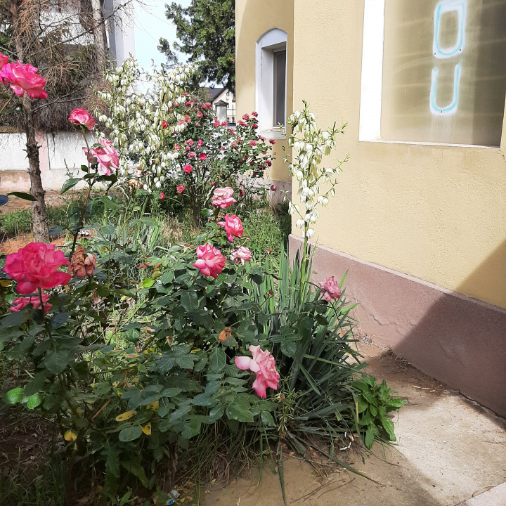 Casa individuala. Gradinita, zona Cartierului Latin, Prelungirea Ghencea