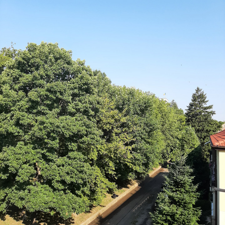 Inchiriere Doua canere in Cotroceni, zona Parc Romniceanu