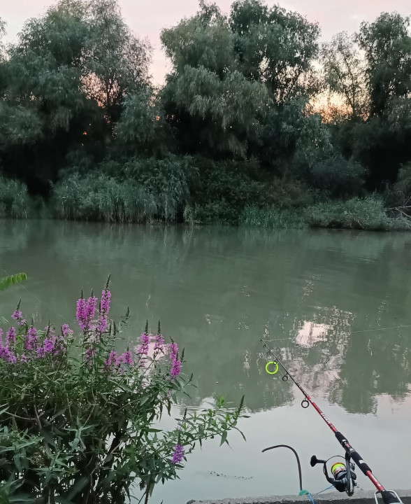 Teren de vanzare in Delta Dunarii, Chilia Veche - Tulcea