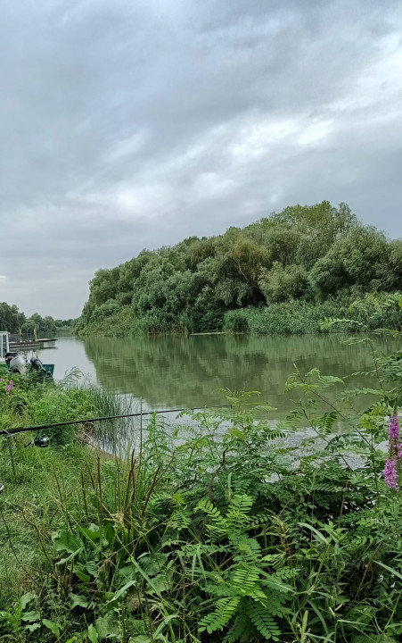 Teren de vanzare in Delta Dunarii, Chilia Veche - Tulcea