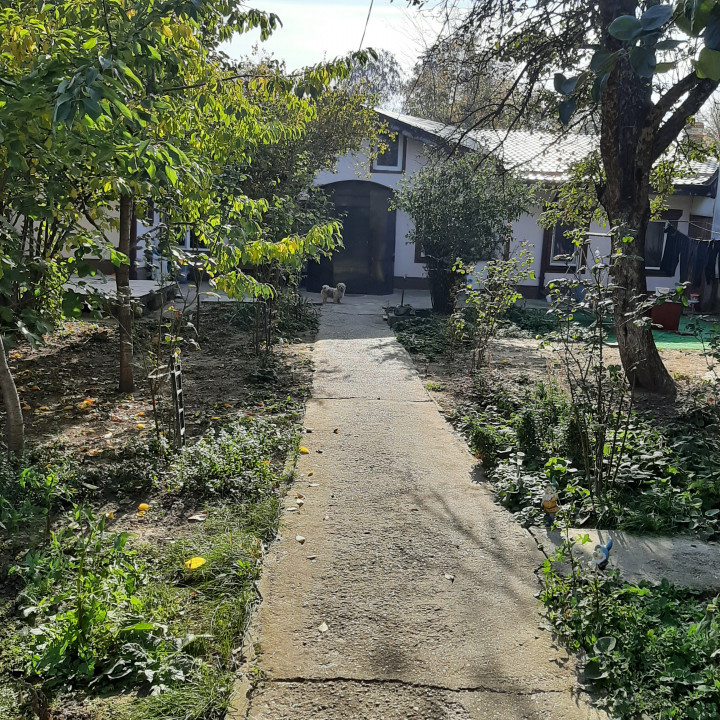 Casa si teren 481 mp, Bucurestii Noi, biserica Sf. Nicolae Bazilescu