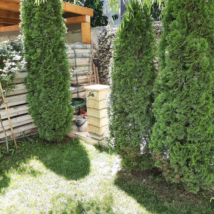 Vila individuala in Domnesti, zona Ciutaci, str Craitei-Rondului