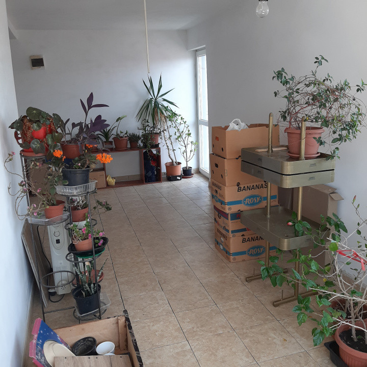 Casa individuala, in Domnesti, central, cu 600 mp tern