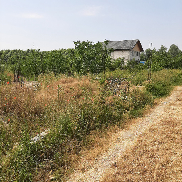 Teren 500 mp, Domnesti, str. Salciei