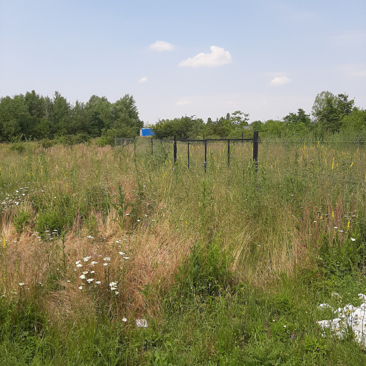 Teren 500 mp, Domnesti, str. Salciei