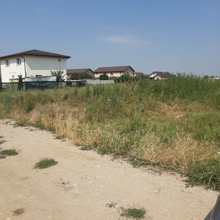 Teren 585 mp, intravilan, in Domnesti catre Teghes, din str. Curtea Domneasca