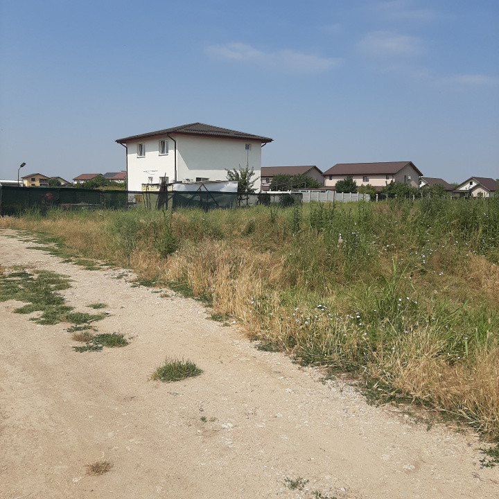 Teren 585 mp, intravilan, in Domnesti catre Teghes, din str. Curtea Domneasca
