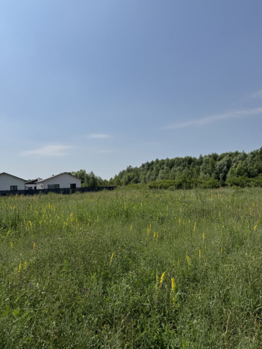 Domnesti – Strada Salciei – Teren intravilan 500 mp x 2 loturi