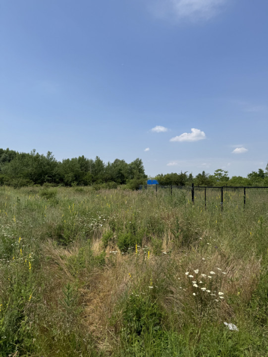 Domnesti – Strada Salciei – Teren intravilan 500 mp x 2 loturi