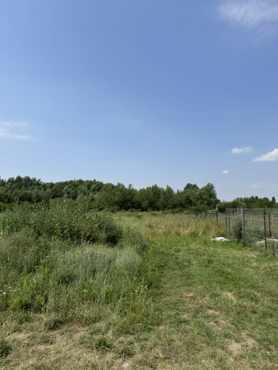 Domnesti – Strada Salciei – Teren intravilan 500 mp x 2 loturi