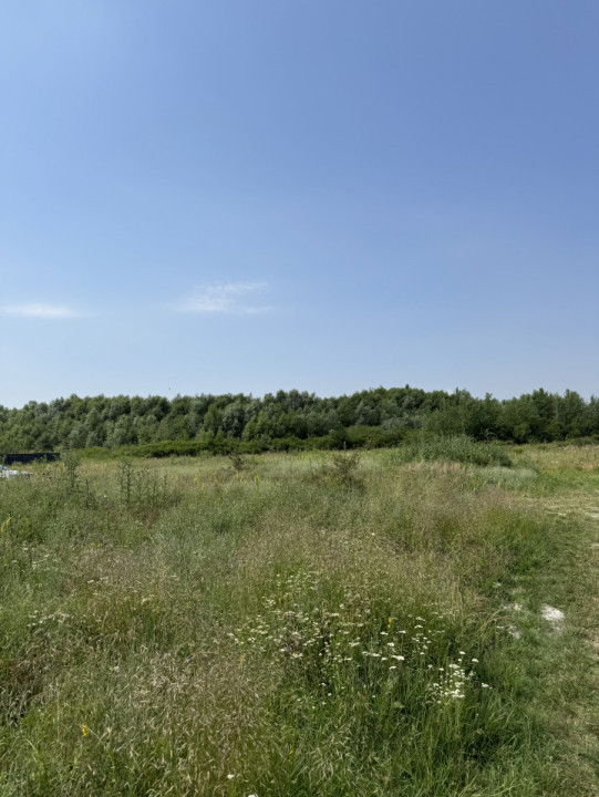 Domnesti – Strada Salciei – Teren intravilan 500 mp x 2 loturi