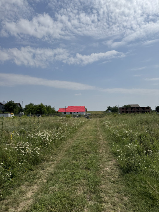 Domnesti – Strada Salciei – Teren intravilan 500 mp x 2 loturi