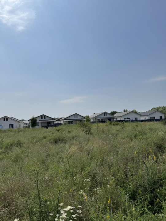 Domnesti – Strada Salciei – Teren intravilan 500 mp x 2 loturi