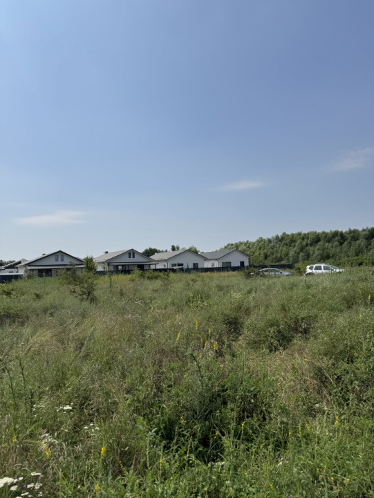 Domnesti – Strada Salciei – Teren intravilan 500 mp x 2 loturi