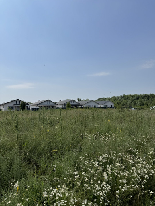 Domnesti – Strada Salciei – Teren intravilan 500 mp x 2 loturi