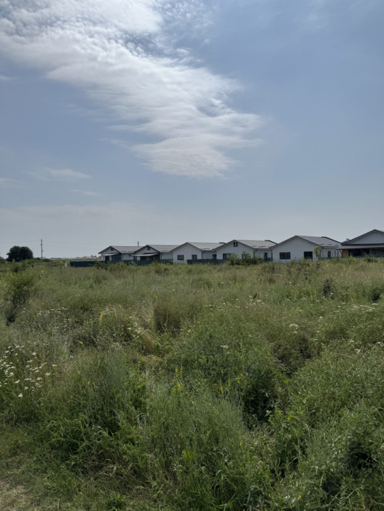 Domnesti – Strada Salciei – Teren intravilan 500 mp x 2 loturi