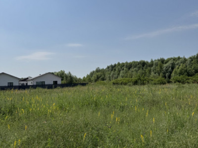 Domnesti – Strada Salciei – Teren intravilan 500 mp x 2 loturi