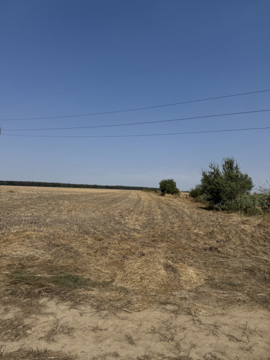 Mihăilești - Giurgiu Teren intravilan – 40.600 mp, deschidere 55 ml