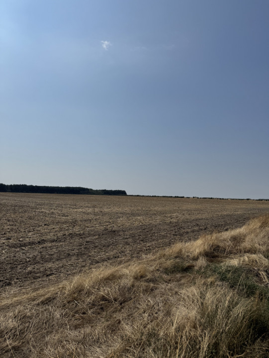 Mihăilești - Giurgiu Teren intravilan – 40.600 mp, deschidere 55 ml