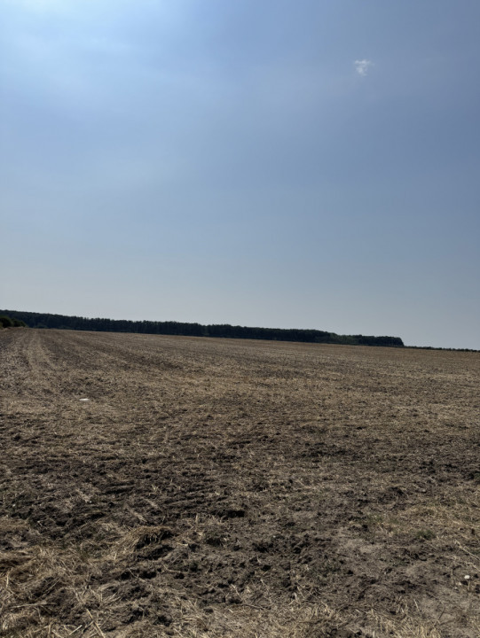 Mihăilești - Giurgiu Teren intravilan – 40.600 mp, deschidere 55 ml