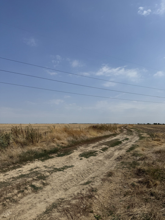 Mihăilești - Giurgiu Teren intravilan – 40.600 mp, deschidere 55 ml