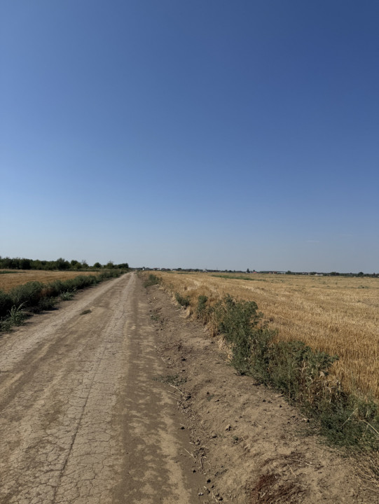 Teren 10.000 mp – Dragomiresti Vale, Ilfov