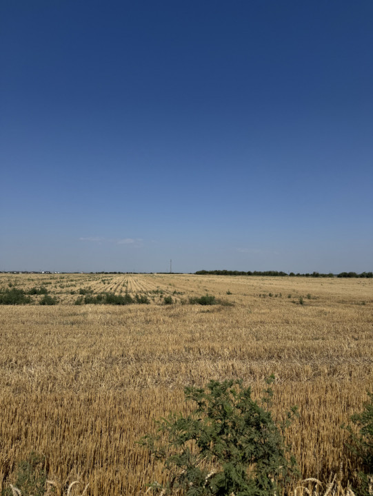 Teren 10.000 mp – Dragomiresti Vale, Ilfov