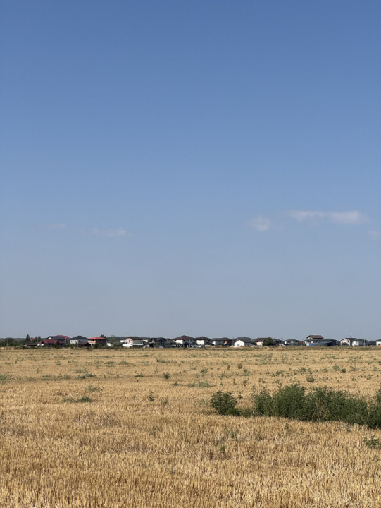 Teren 10.000 mp – Dragomiresti Vale, Ilfov