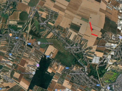 Teren 10.000 mp – Dragomiresti Vale, Ilfov