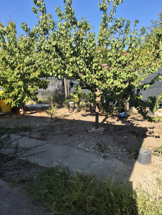 Casa individuala parter, Domnesti, zona Craitei-Foisorului. Investitie buna.